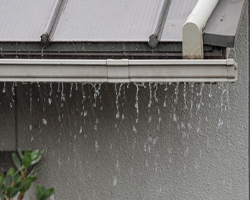 雨の日の屋根